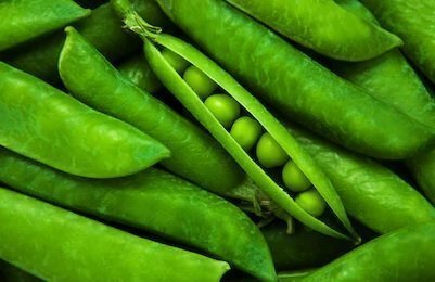 Pea