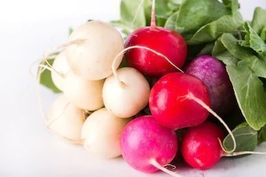 Radish