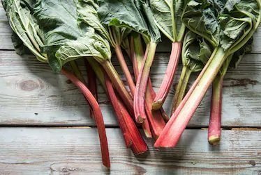 Rhubarb