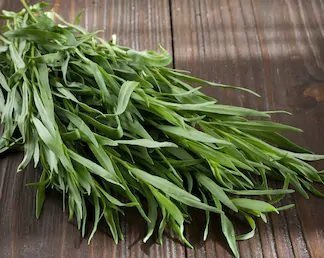 Tarragon