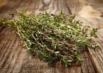 Thyme