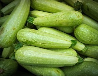 Zucchini