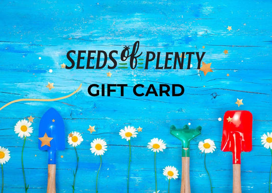 eGift Card Seed Packet - #