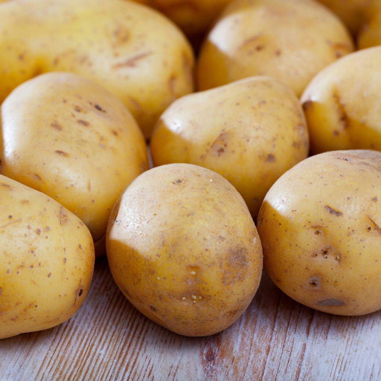 Potato - Avanti (1kg Certified Seed Potato)