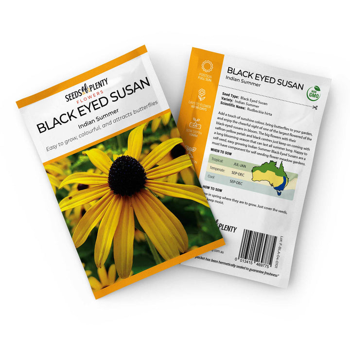 BLACK EYED SUSAN - Indian Summer Seed Packet - Rudbeckia hirta