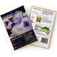 CORNFLOWER  - Frosty Mix