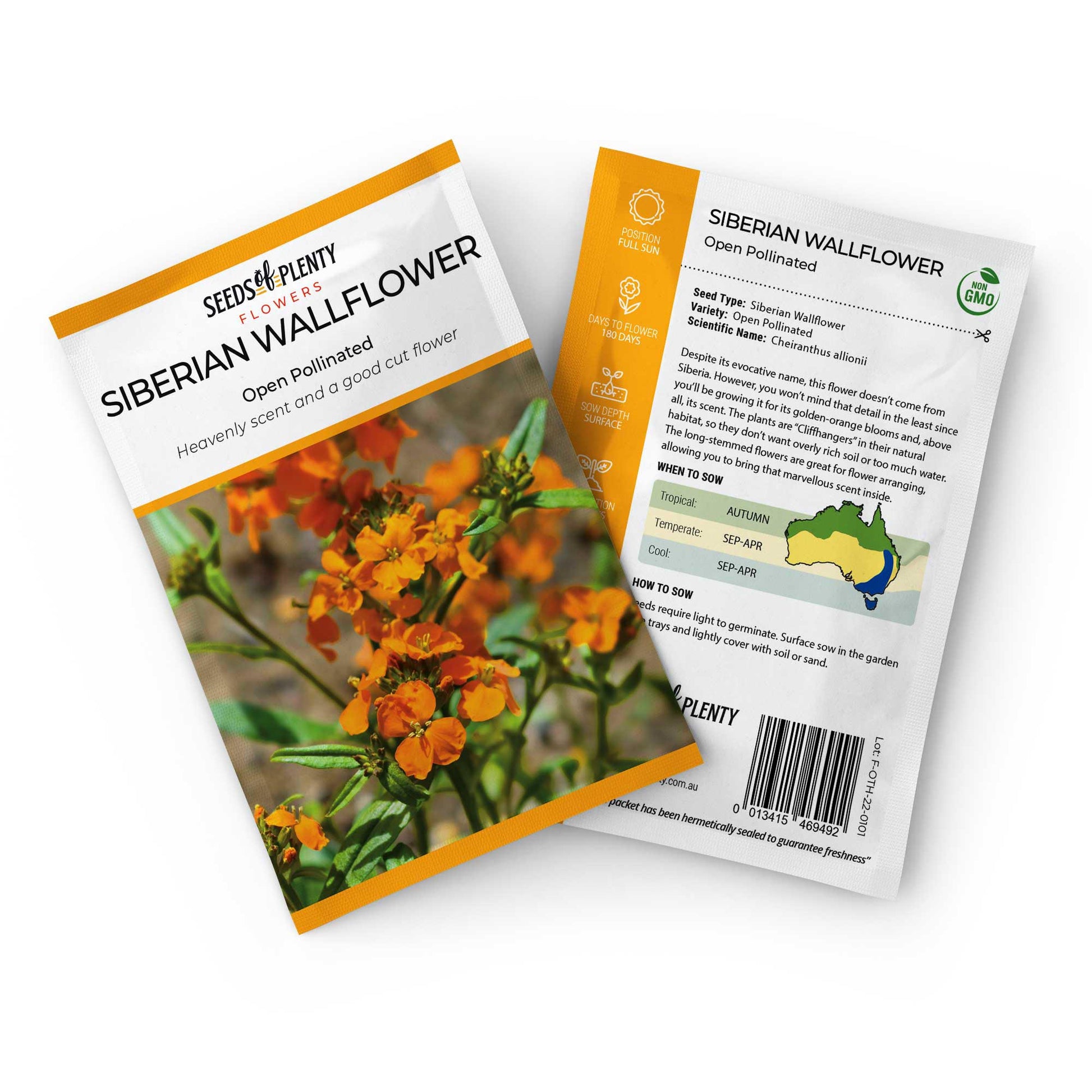 SIBERIAN WALLFLOWER - Seed Packet - Cheiranthus allionii