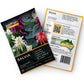 SALVIA  - Splendens Mixed