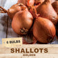 Golden Shallot (6 Bulbs)