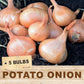 Potato Onion (5 Bulbs)