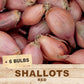Red Shallot (5 Bulbs)