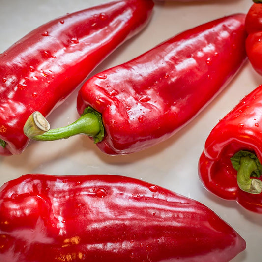 CAPSICUM - Cubanelle