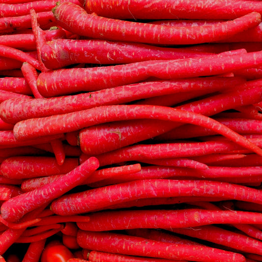 CARROT - Kyoto Red