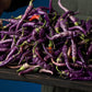 CHILLI PEPPER - Buena Mulata