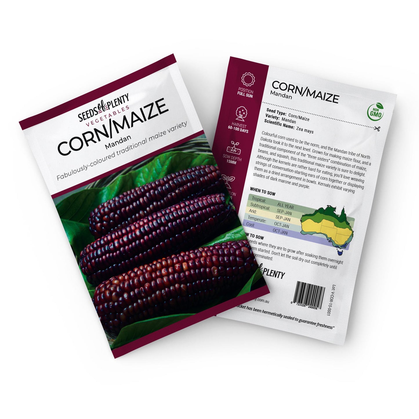 CORN/MAIZE - Mandan