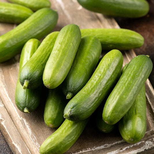 CUCUMBER - Lebanese (Muncher)