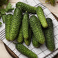 CUCUMBER - Parisian Pickling