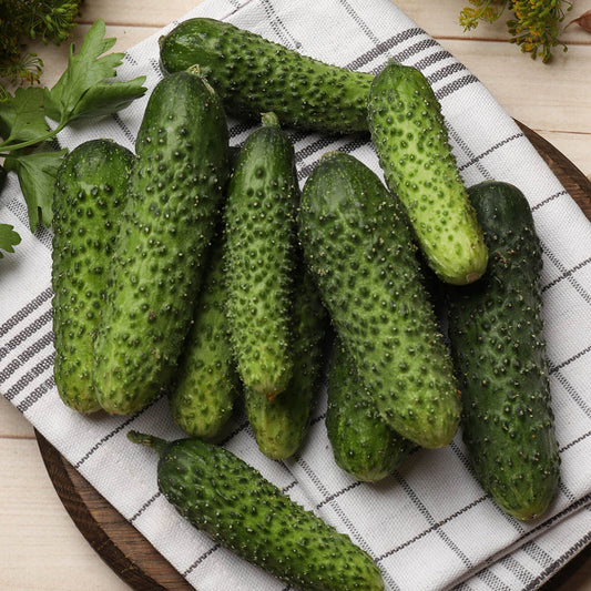 CUCUMBER - Parisian Pickling