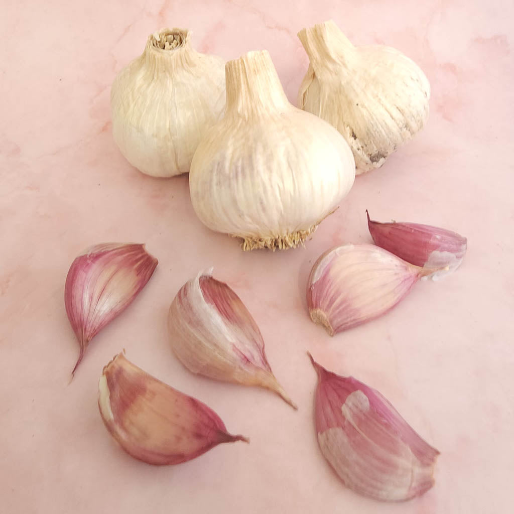 GARLIC - Ananda Rose