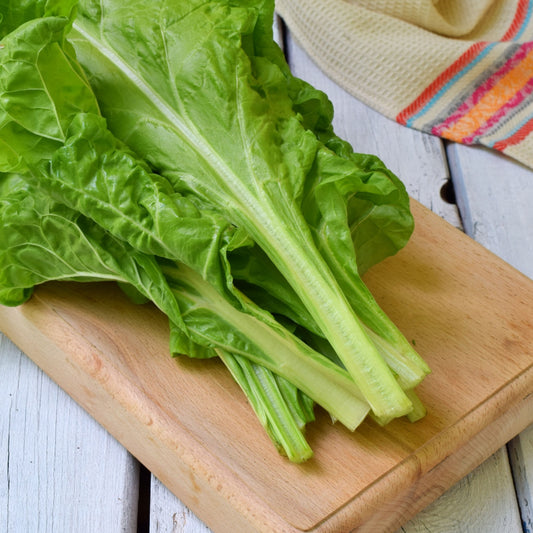 SILVERBEET - Japanese Umaina