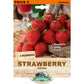 Strawberry - Adina (4 Runners)