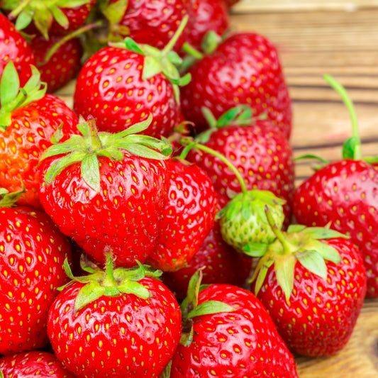 Strawberry - Melba (4 Runners)