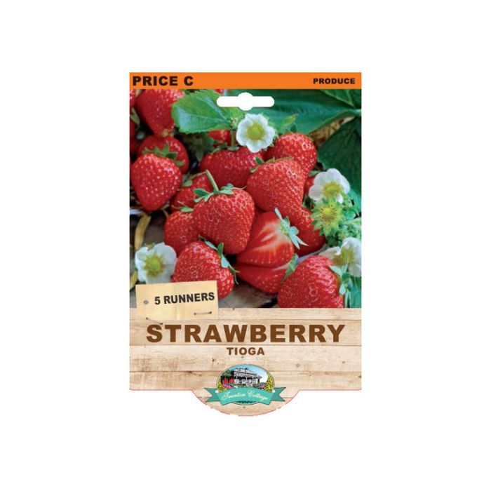 Strawberry - Tioga (4 Runners)