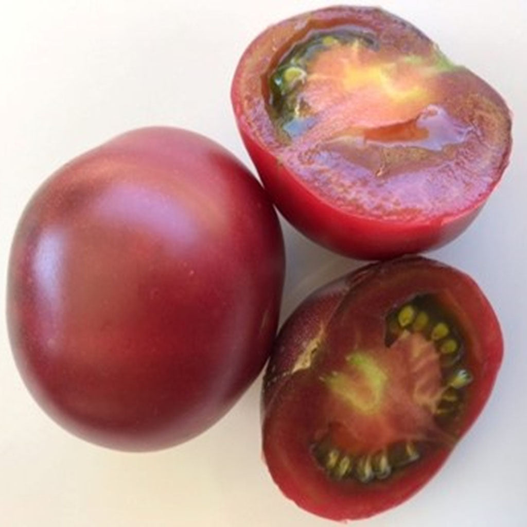 TOMATO - Karma Purple  - Lycopersicon esculentum