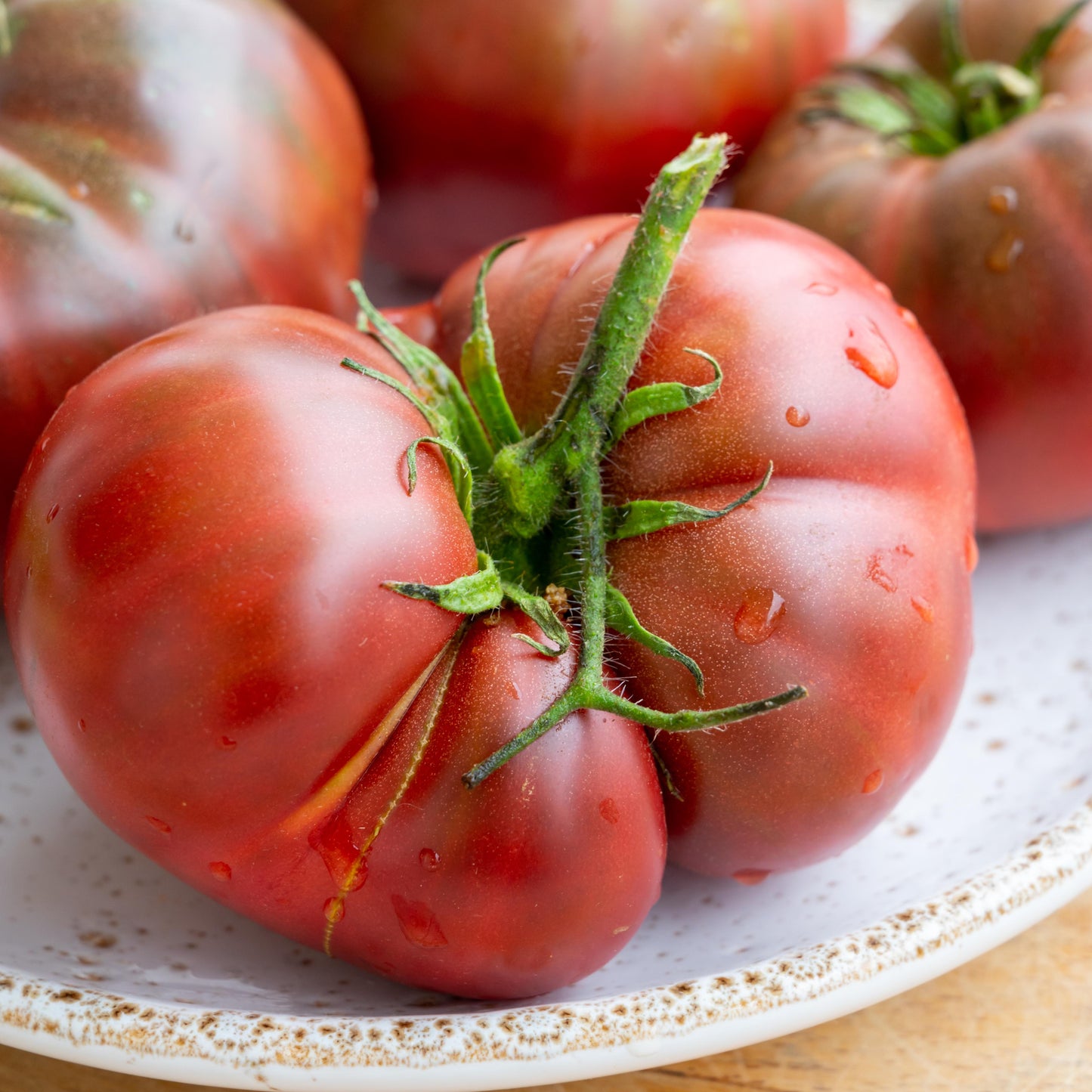 DWARF TOMATO - Brandyfred  - Lycopersicon esculentum