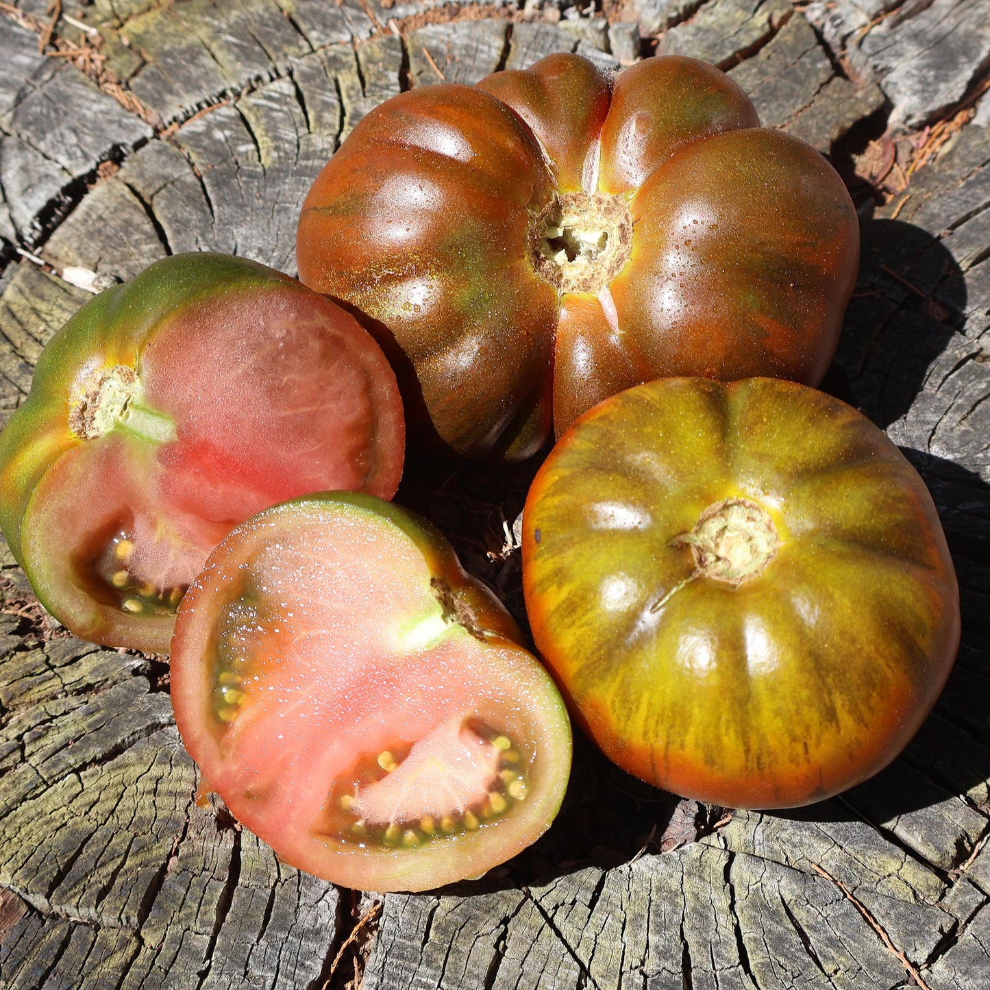 TOMATO - Arbuznyi  - Lycopersicon esculentum