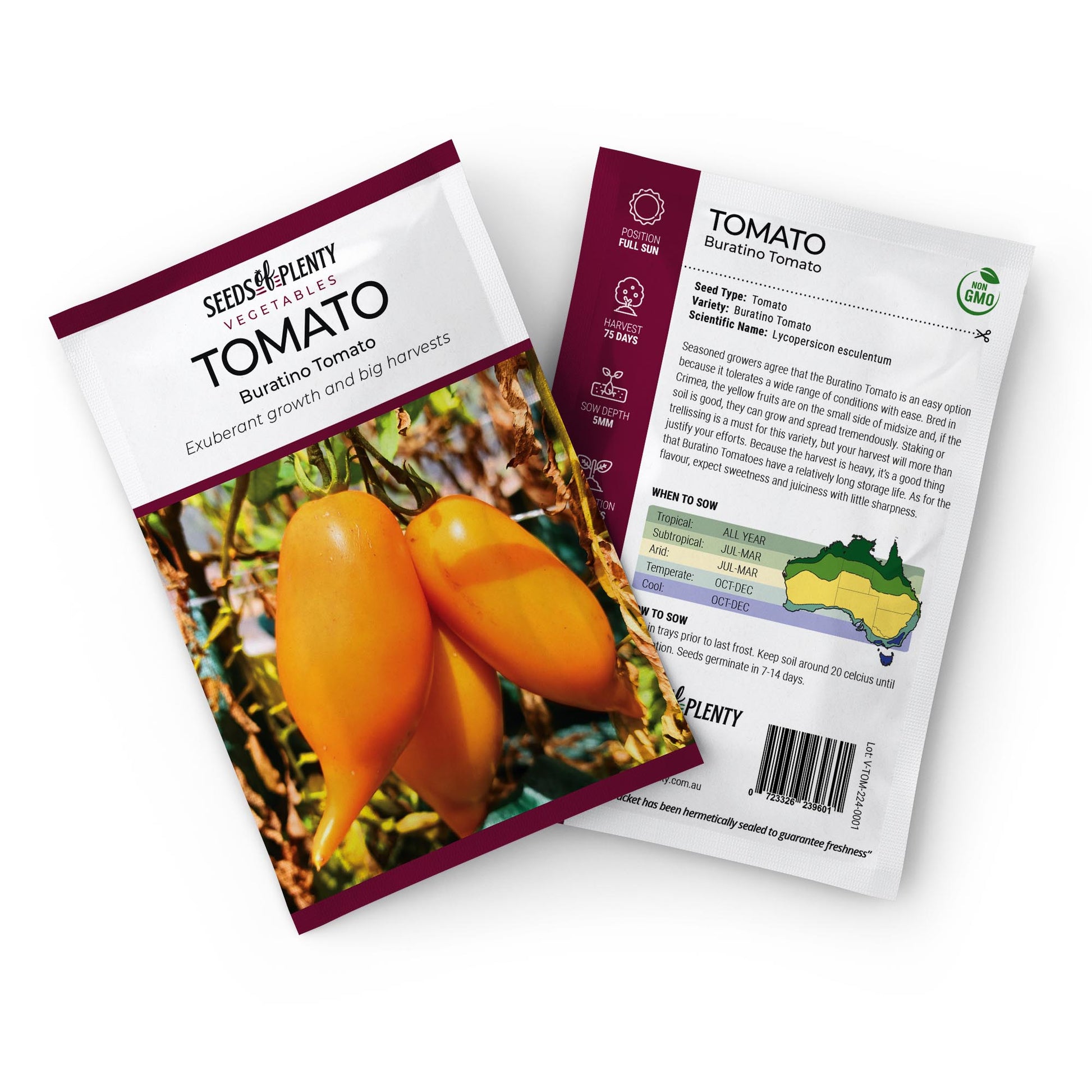 TOMATO - Buratino Tomato Seed Packet - Lycopersicon esculentum