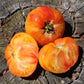 TOMATO - German Yellow Stripe Tomato  - Lycopersicon esculentum