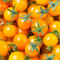 TOMATO - Tim's Taste of Paradise