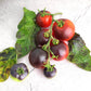 MICRO TOMATO - Tartufa