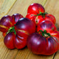 TOMATO - Indigo Blue Beauty