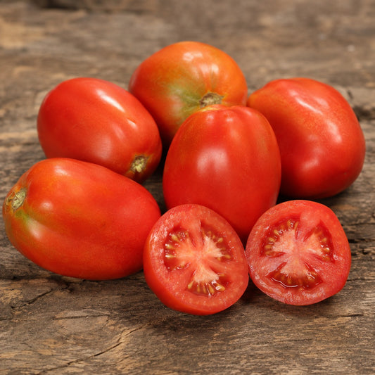 TOMATO - Amos Coli