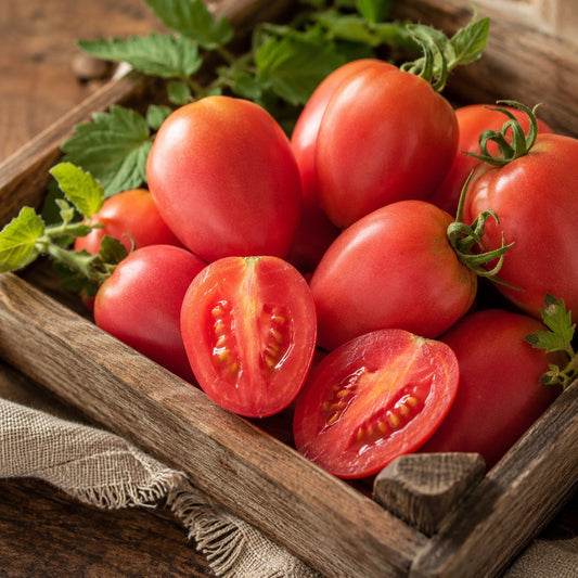 DWARF TOMATO - Melanie's Ballet