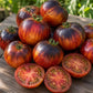 TOMATO - Cosmic Burst