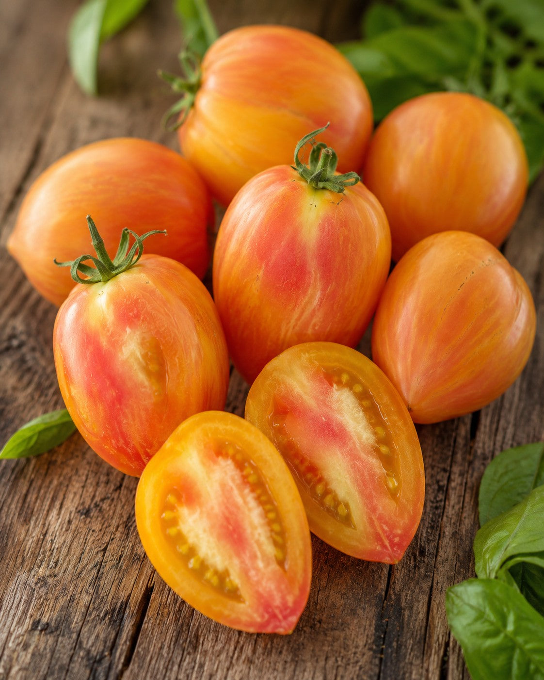 TOMATO - Bleeding Heart