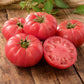 TOMATO - Ponderosa Pink