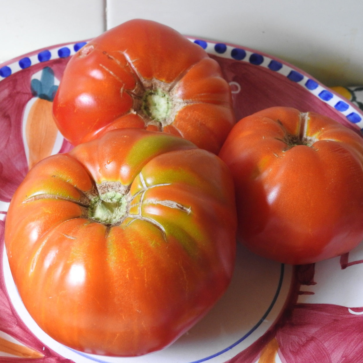 TOMATO - Big Zac