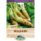 Wasabi (1 Rhizome)