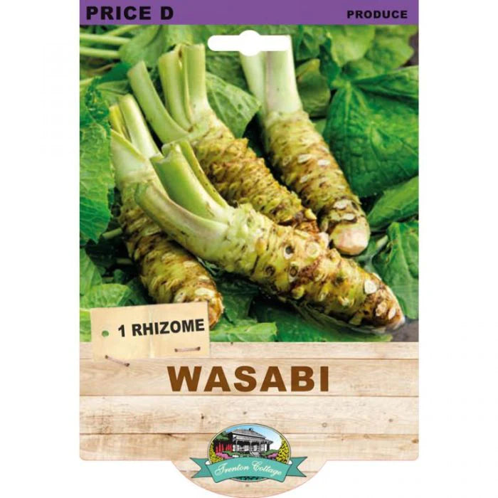 Wasabi (1 Rhizome)