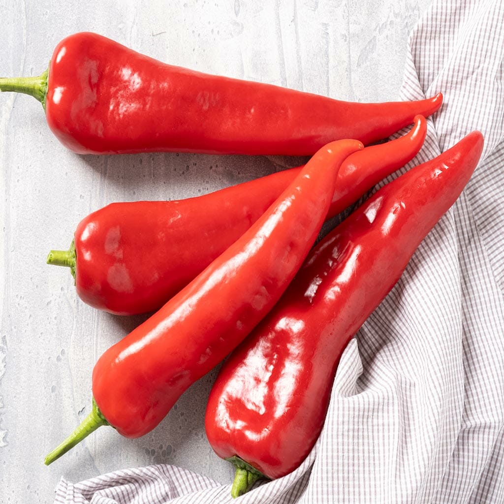 CAPSICUM - Bulls Horn  - Capsicum annuum
