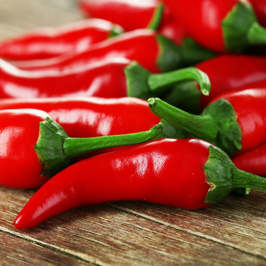 CHILLI PEPPER - Cayenne Red Hot  - Capsicum annuum