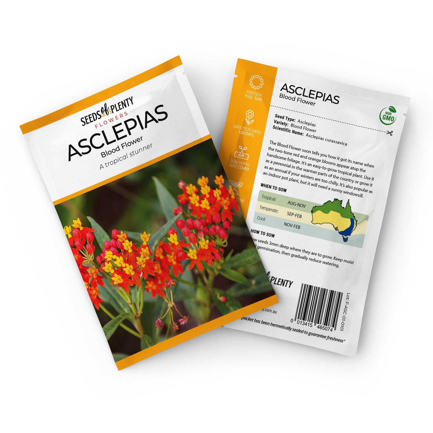 ASCLEPIAS - Blood Flower