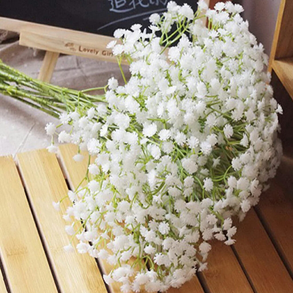 BABY'S BREATH -  - Gypsophila elegans 