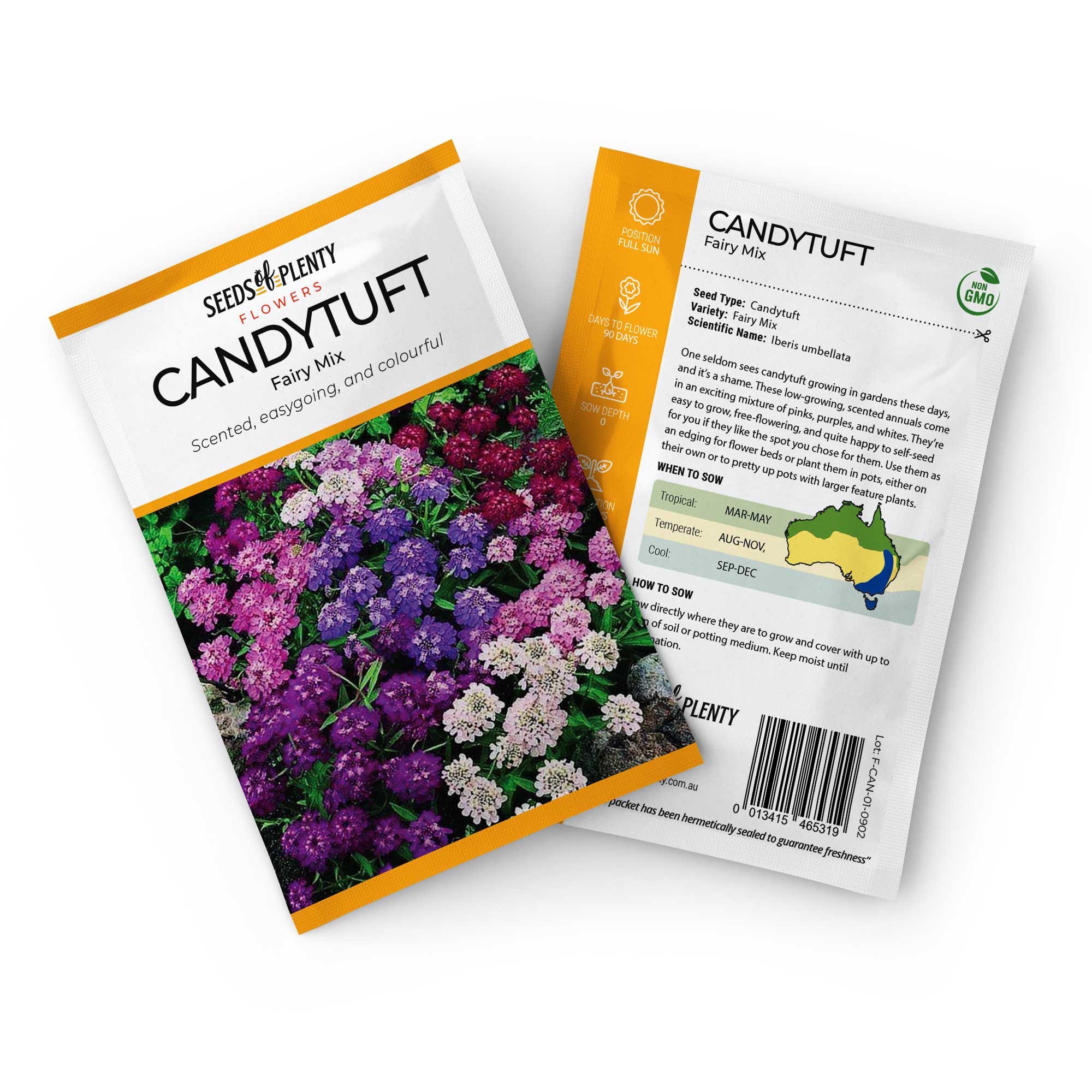 planting candytuft seeds CANDYTUFT - Fairy Mix