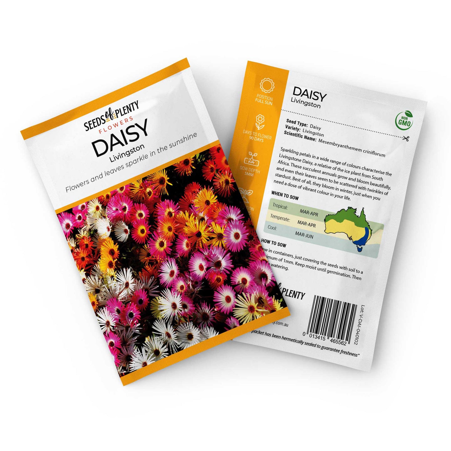 DAISY  - Livingston Seed Packet - Mesembryanthemem criniflorum