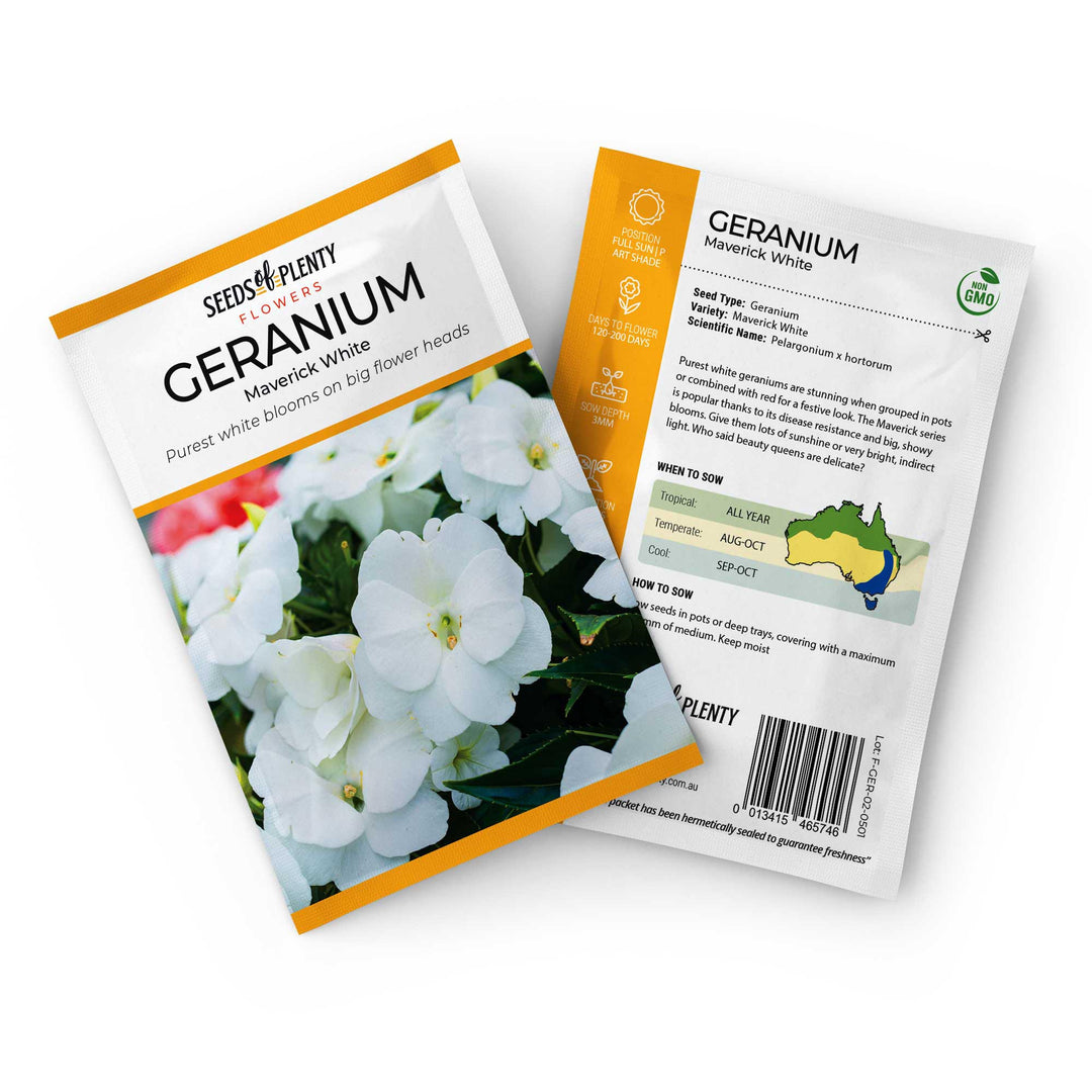 GERANIUM - Maverick White | Buy Online at Seeds Of Plenty  Seeds of Plenty